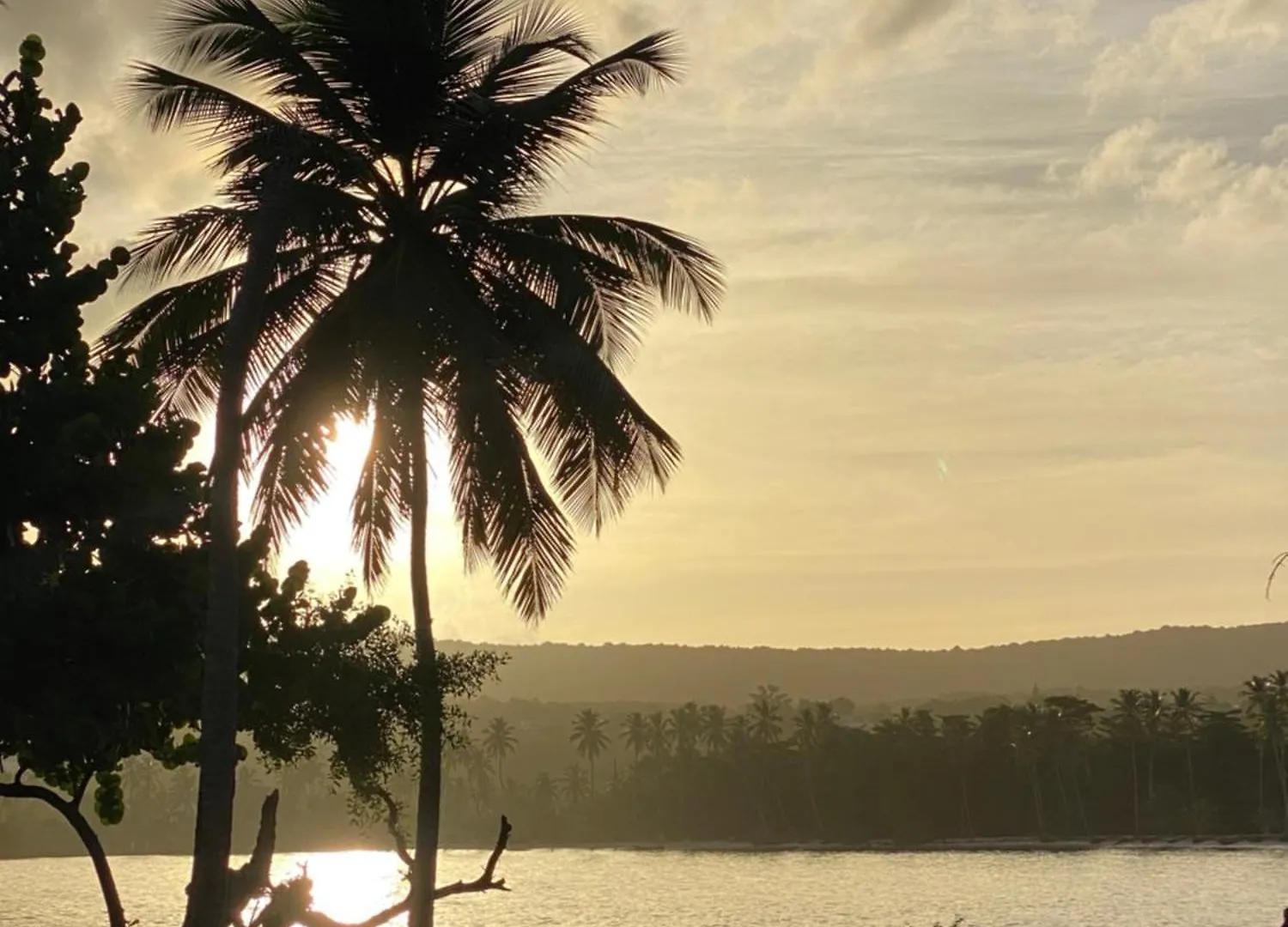 Yes Papa! Rooms Only 100M From The Beach! Las Galeras Hotel